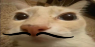 otagio emote