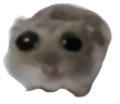 sadhamster emote