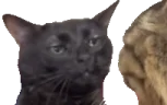 zoning emote