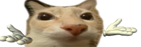 hz emote