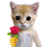 catRose emote