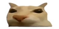 otag3D emote