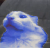 Holding emote