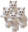 CatTimeParty