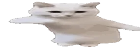 widetime emote