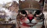 WAR emote