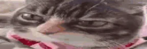 aaaaaaaaaaalright emote