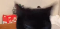 nuhuh emote