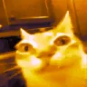 ermdeluxe emote