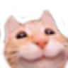 :3 emote