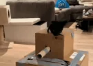 tank emote