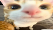 :33 emote