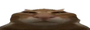buuuub emote