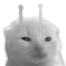 wlorp emote