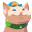 vargBop