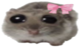 ohCute emote