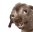 creatureLookUp