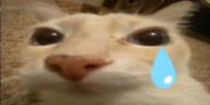 otagSad emote