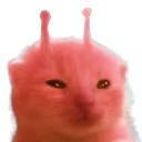 rlorp