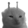 nlorp emote