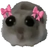 ohBounce emote
