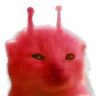 rorp emote