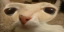 otagGdjasopashdoifw