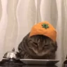 plong emote