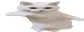 WideCatTime