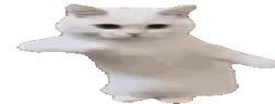 WideCatTime emote