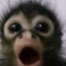 O: emote