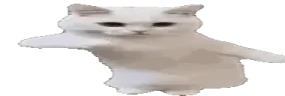 slowtime emote