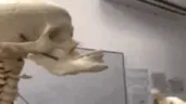 hmming emote