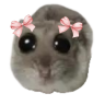 ohCute emote