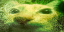 otagInfected