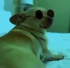 kaju emote
