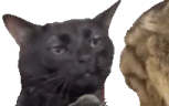 zoningpunch emote