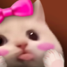 Bluwu emote