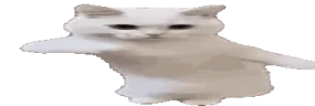 widetimepls emote