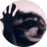 pedroJam emote