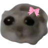 SadHamster emote