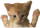 CAUGHT emote