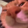 ongang emote