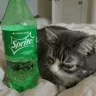 Alsprite emote