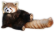 Pandziarz