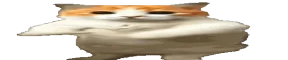 widetime2 emote