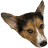 TobyStare emote