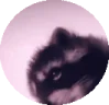 pedroJAM emote