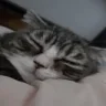 AlrightGN emote