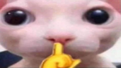XIU emote